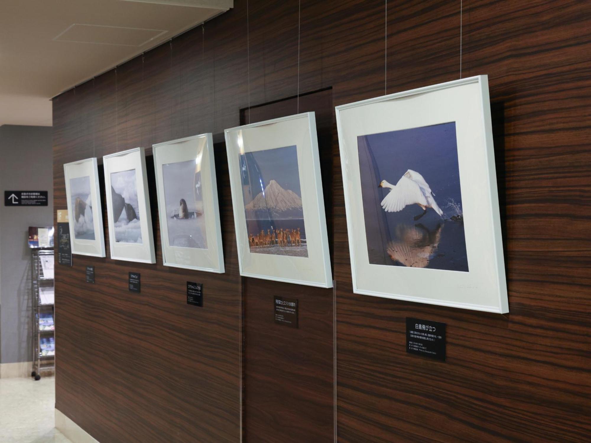 Dormy Inn Wakkanai Exterior photo